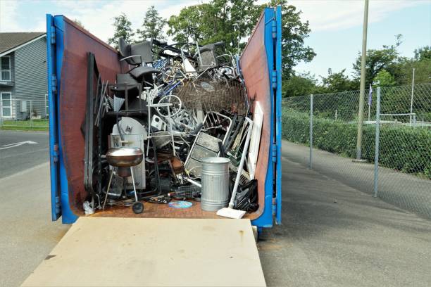 Yard Cleanup Services in Springboro, OH